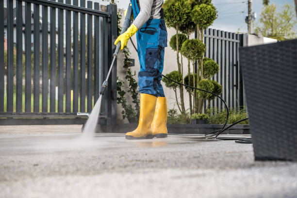 Best Sidewalk and Walkway Cleaning  in Vaeboro, NC